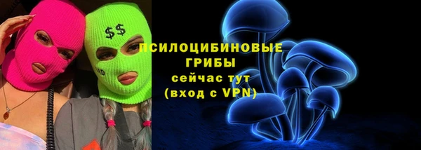 винт Балахна