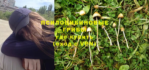винт Балахна